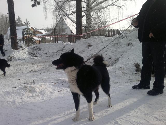 2013-01-26-445.jpg